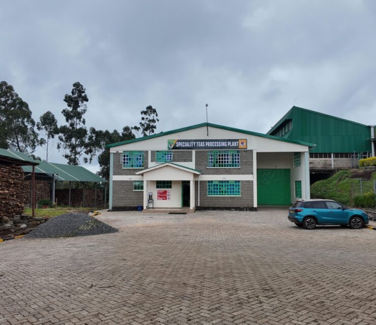 Ikumbi tea special tea facility