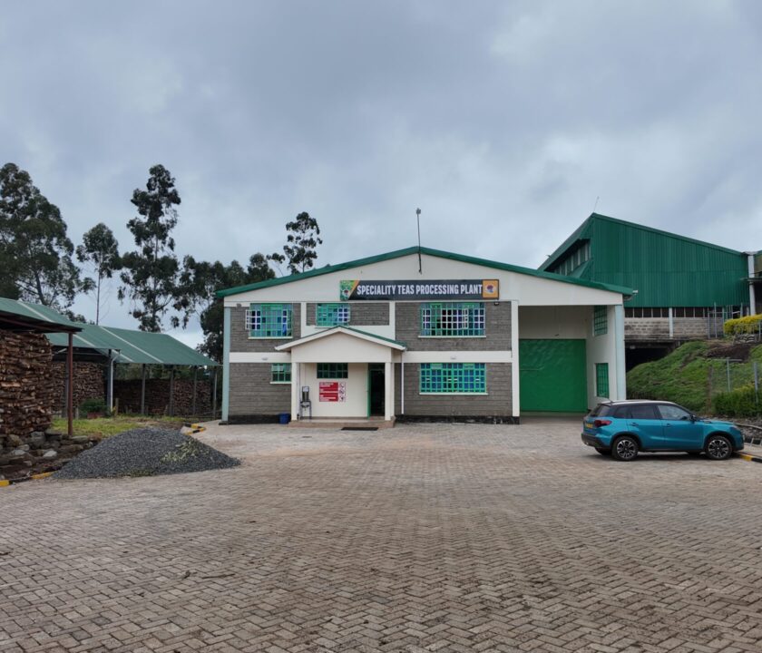 Ikumbi tea special tea facility